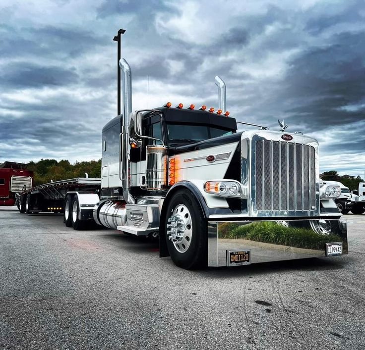 Domestic freight transport truck representing Apex One Freight logistics solutions